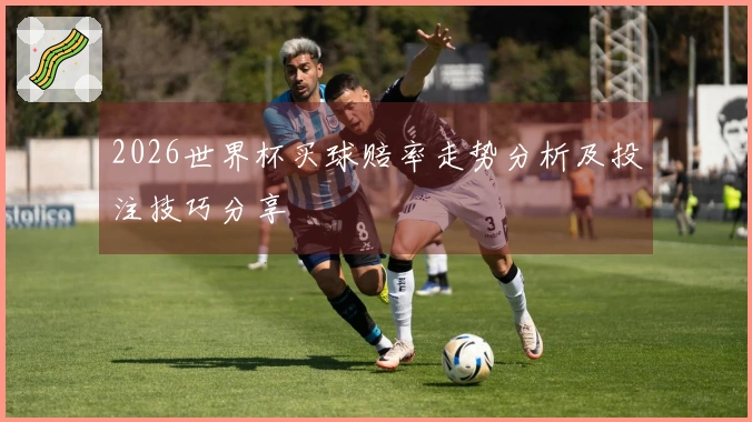 2026世界杯买球赔率走势分析及投注技巧分享