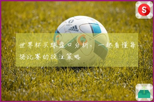 世界杯买球盘口分析，一起看懂每场比赛的投注策略