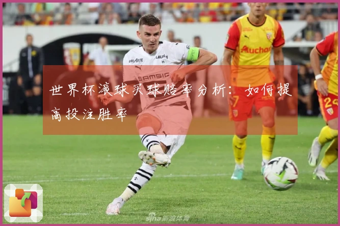 世界杯滚球买球赔率分析：如何提高投注胜率