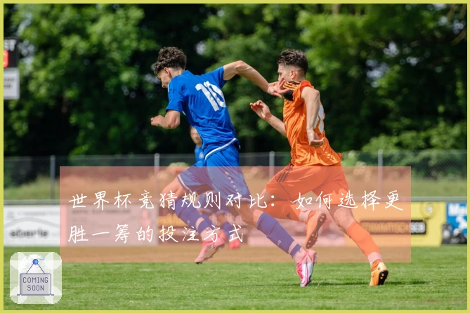 世界杯竞猜规则对比：如何选择更胜一筹的投注方式