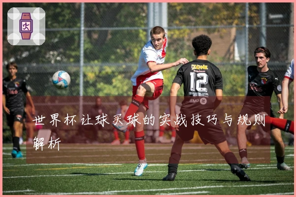 世界杯让球买球的实战技巧与规则解析