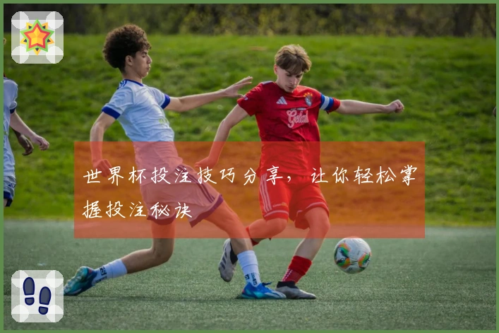 世界杯投注技巧分享，让你轻松掌握投注秘诀