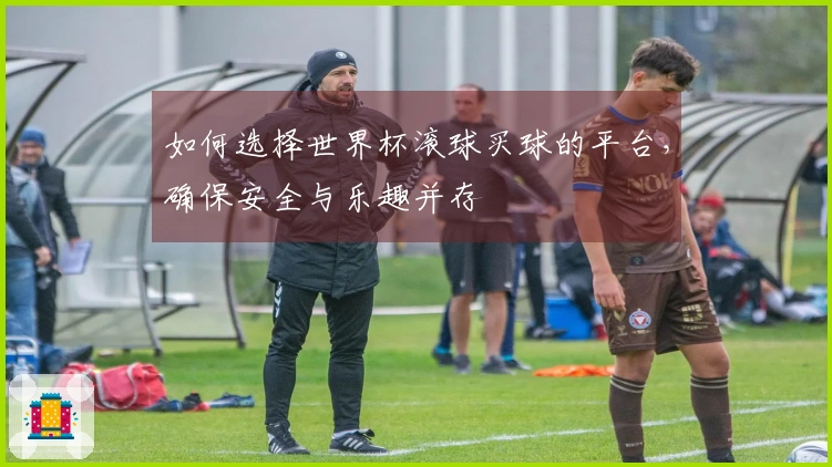如何选择世界杯滚球买球的平台，确保安全与乐趣并存