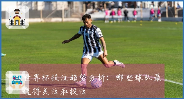 世界杯投注趋势分析：哪些球队最值得关注和投注