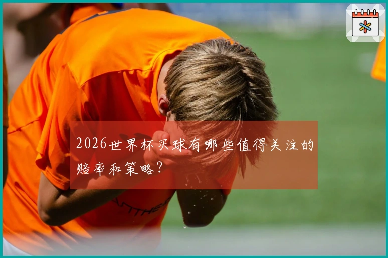 2026世界杯买球有哪些值得关注的赔率和策略？