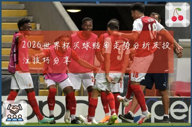 2026世界杯买球赔率走势分析及投注技巧分享