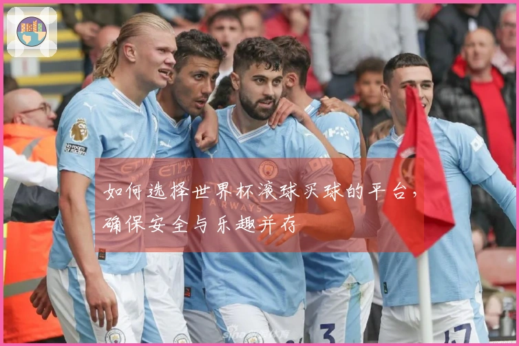 如何选择世界杯滚球买球的平台，确保安全与乐趣并存